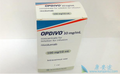 Opdivo(nivolumab)ҽѡ