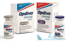 Opdivo(PD-1)ƥľʺTMB10Ļ