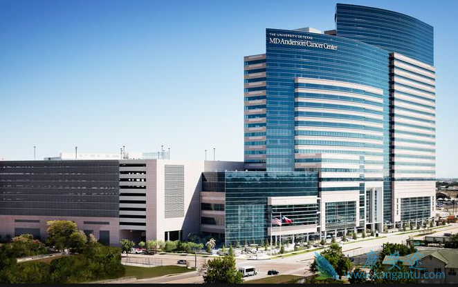 ҽ������