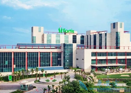 ����ҽ��