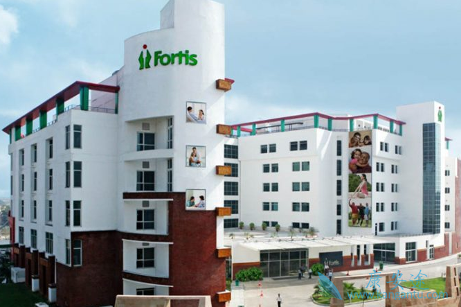 ����ҽ��