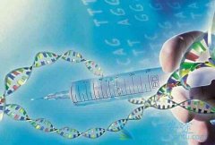 ����ҽ�ƵĻ����Ʒ���Ч�Ƿ�����ϼ۸�