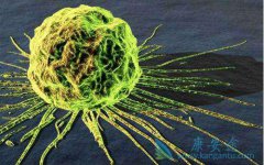 ����ҽ�Ʒ��������������ƭ��ϸ����