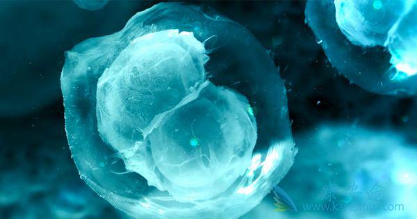 ����ҽ��