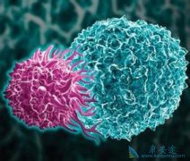 CAR-T��Ч�ú���ҽ�ƽ��방֢�����½׶�