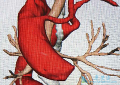 �����鵥��¡����/̩���������ͬ��������ǿ��������Ч��