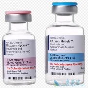 ���޻�(Ristova)���������������������Ե��۸�̫��