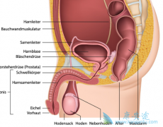 ����غ�谩֢״�������ֱ���Ҫ����