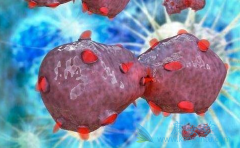 ��Ī¬����(Ramucirumab)�������ڸΰ��ѻ�ù¶�ҩ�ʸ�