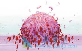 ����ҽ��