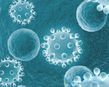 ����������ҩ���������߿��ð�������(AXITINIB)