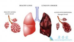 �ΰ����Ʒ�������Щ��������Ч����Σ�