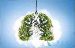 Ӱ��Сϸ���ΰ������ڵ���������Щ