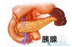 ���ٰ������ʺܸ���˼�ʱ�������ٰ�֢״����Ҫ