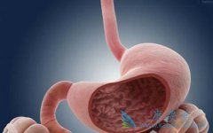 ����ҽ���о��߱�ʾθ��������ʳӦ������ĸ�ԭ��