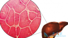 ���ڸΰ����߳���������/��̹�ܸ�������������