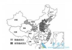 ȫ����֢�ֲ�ͼ�Լ���ҪǱ����Ⱥ