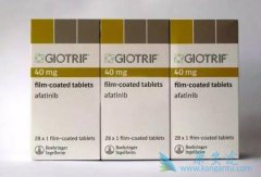 ������������ھ��з���ҩ�Ժ���EGFRͻ���ת���Է�Сϸ���ΰ����ߵ�����