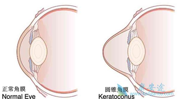 ����ҽ��