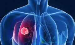 �ΰ����ڻ��ܻ�����ÿ�����߼���������֪����