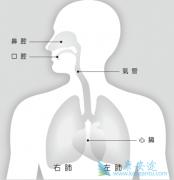 �ΰ����ڳ�ʲô�������ڲ��黺��