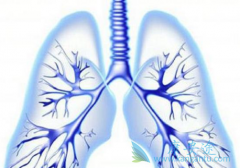 ���Ԥ���ΰ��������ΰ��������κ���