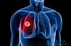 ������/�����������Ʒΰ���Ч��Σ�������������ô����