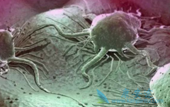 �ΰ�������ʳ��ô�������ڻ��߲���