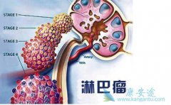 �ܰ�����������ᷢ��2��������ǧ��Ҫ����