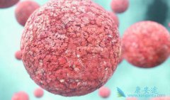 ʲô�����׵��ܰ������ǻ�����ܰ��������Ʒ�������Щ��