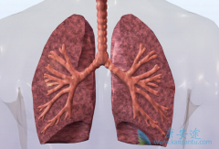 ����ŵ��(Vorinostat)�ɸı����ø�����������Էΰ���������