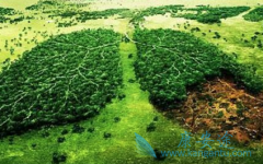 ʲô����������������Ƿΰ�������ǰ