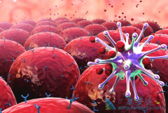 �ͼ�����������(OSIMERTINIB)��3�ֵ���¡������ϿɶԿ���ҩ