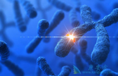 �����(RESIHANCE)��������Ԥ��������θ������������