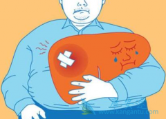 �ΰ����ڷ���ӡ�ȶ༪��(SORAFENIB)���ӳ���õ�������