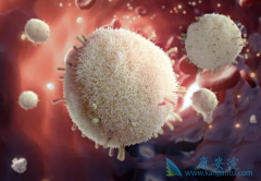 ��һ��ƿװ̩��ɳ(Tagrisso)�����ϼ���Incepta��ҩ����