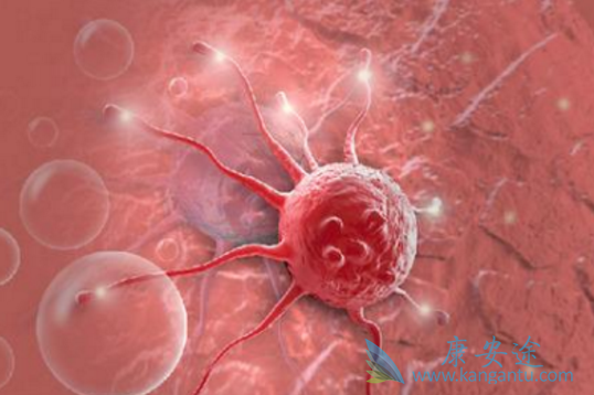 海外医疗 海外医疗