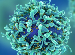 ���ٰ�������(GILOTRIF)���������ڽ��Ͳ����¼�����