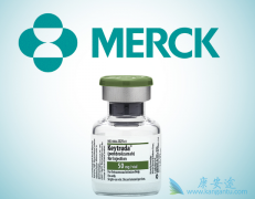 �о����־���ϸ����PD-1���Ƽ�������Ч���й�