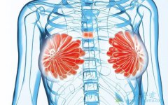 ����ǰ���ĸ��ư�֢������Щ�ص�