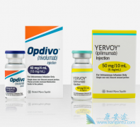 PD-1��CTLA-4�����ֳ��������߼������Ƽ�