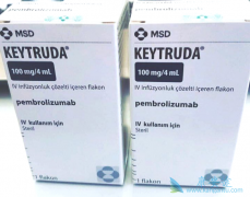 PD-1���Ƽ�Ϊ��֢�����ṩ��һ�������ڴ�ͳ�Ʒ��������Ʒ���