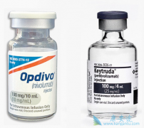 ����PD-1������ô�����й���PD-1���Ƽ����е���