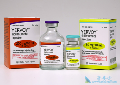 ���߼������Ƽ�CTLA4���Ƽ���PD-1���Ƽ��ķ�չ����