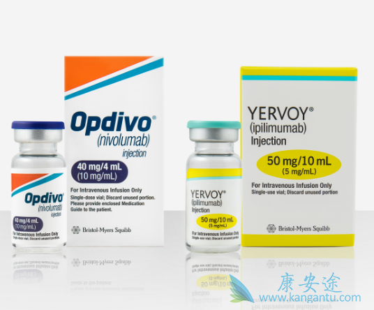 免疫检查点抑制剂 免疫检查点抑制剂