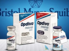 ��֢�����ڻ���ǰ��ʹ��PD-1���Ƽ�����Ч����ô��