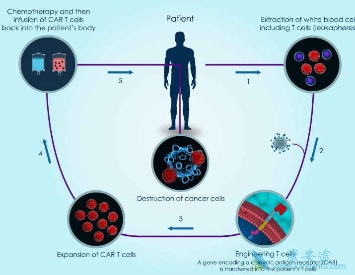 CAR-Tϸ������