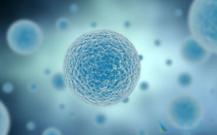 ����ΰ����߸��ʺϺ���ҽ�Ƶ�ϸ�������Ʒ���