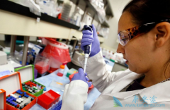 CAR-Tϸ�������Ʒ������ҩ������ĸ�Ч���ã�