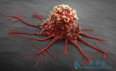 ��ҽ���������Ƶĸ�����������ý���